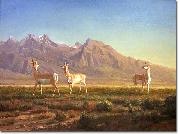 Albert Bierstadt Prong-Horned Antelope oil painting artist